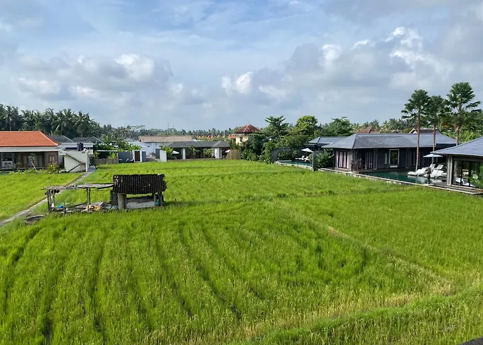 Komang Ketut Ubud